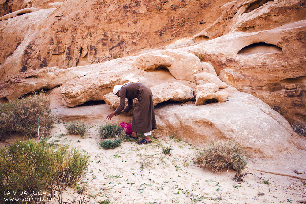 Wadi Rum | La Vida Loca 2.0 Matkablogi | www.sarrrri.com