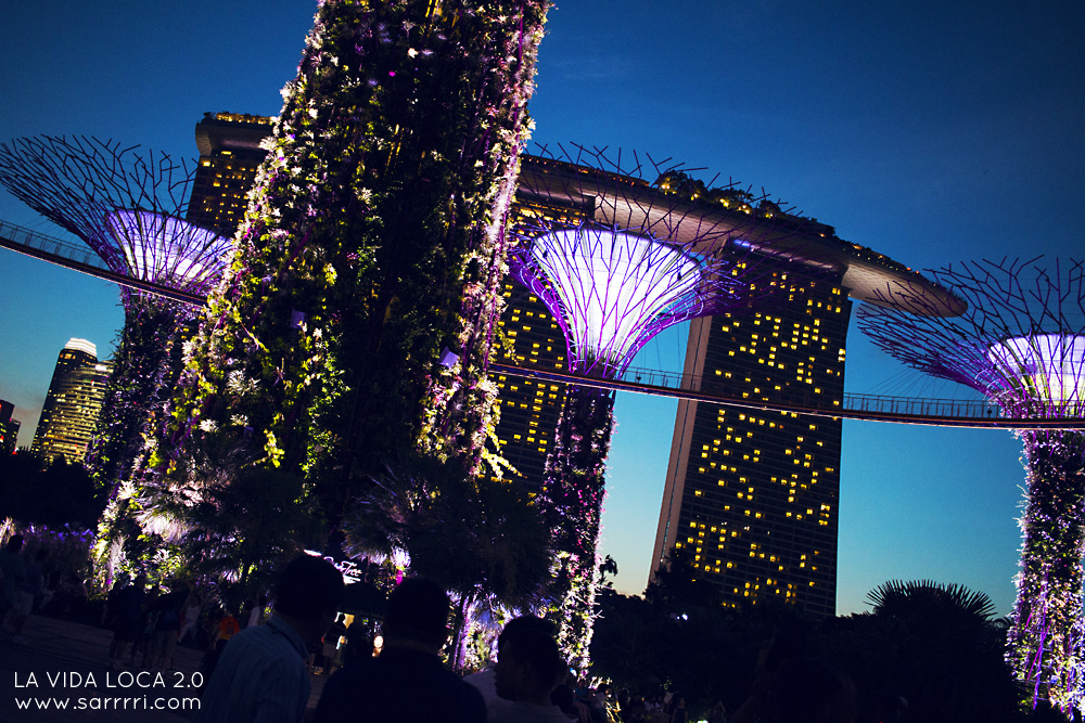 Pitkä välilasku Singaporessa | La Vida Loca 2.0 Matkablogi | www.sarrrri.com