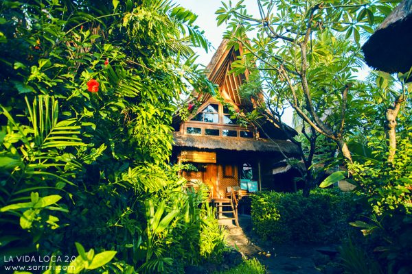 REVIEW] Bungalow-majoitusta Amedissa: Santai Hotel Bali ?? | La Vida Loca   Matkablogi