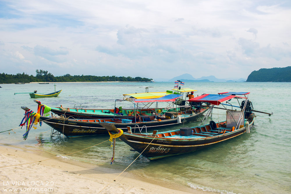 Koh Madsum matkapäiväkirja pitkähäntävene thaimaa